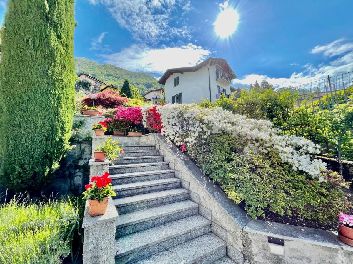 Eden Sul Lago Di Como Несо Екстериор снимка