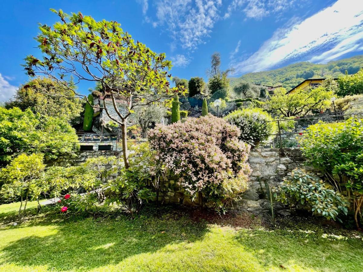 Eden Sul Lago Di Como Несо Екстериор снимка